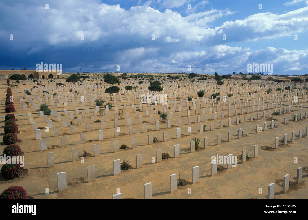 Il Cimitero degli Alleati El Alamein Egitto Foto Stock