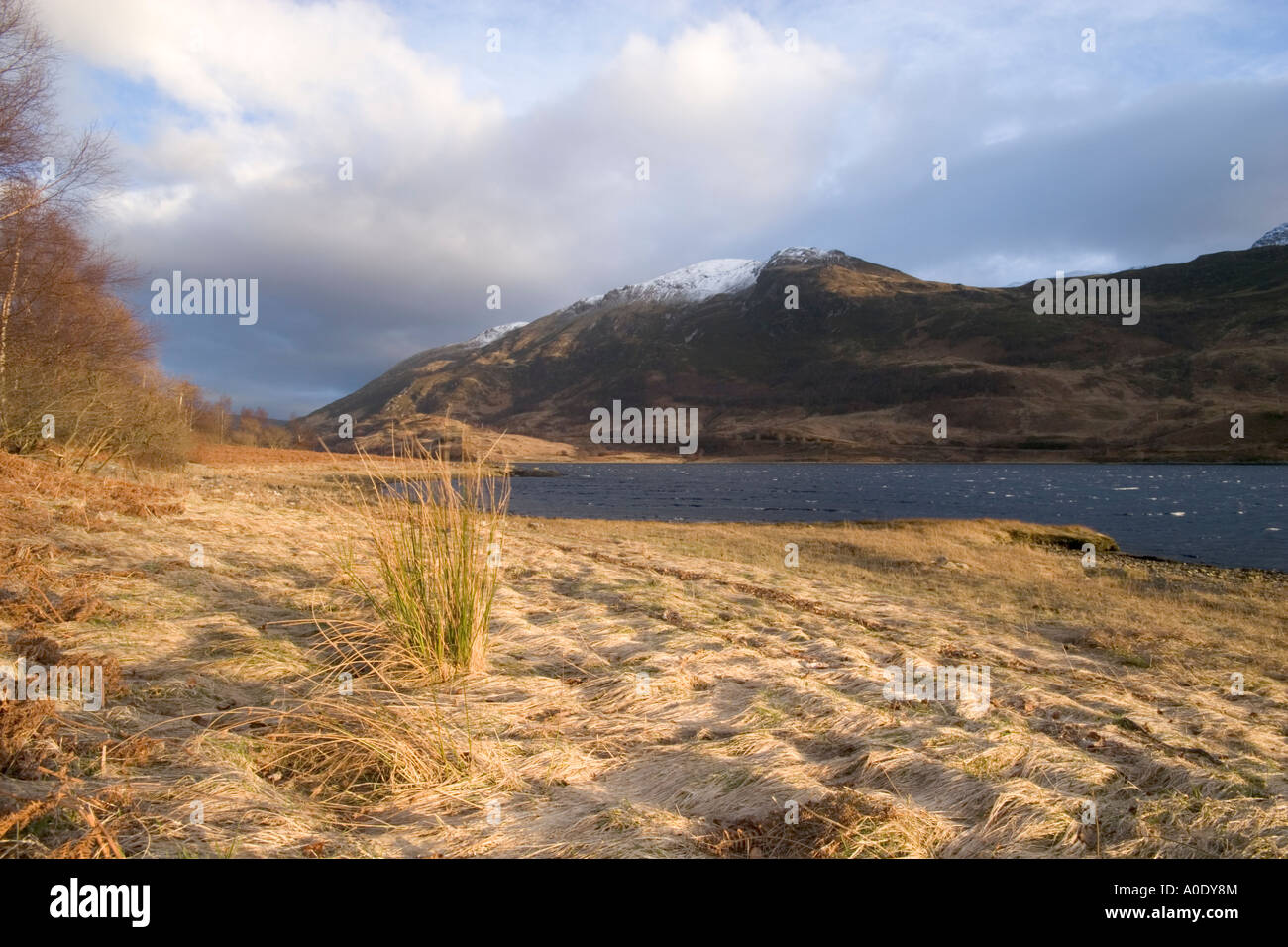 SCOTTISH LOCH SCENA LATERALE Foto Stock