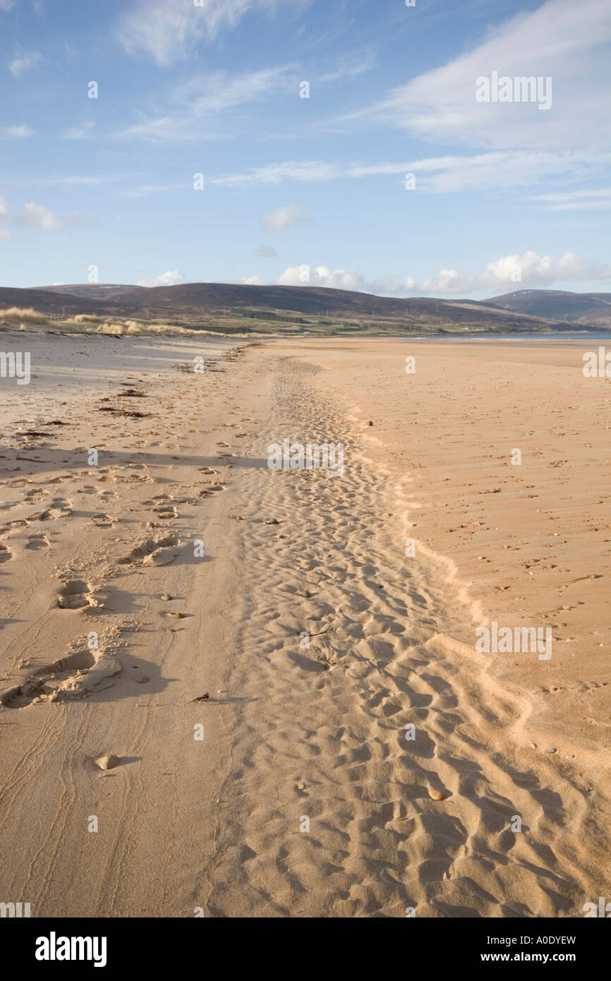Deserta spiaggia sabbiosa e la linea del litorale scena con cielo blu Foto Stock