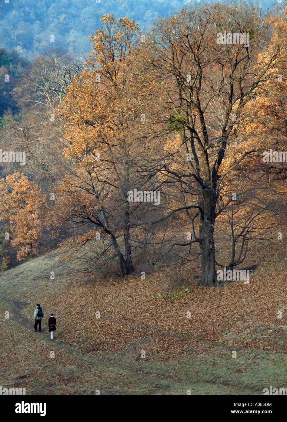 Passeggiate in collina in Budapest Foto Stock