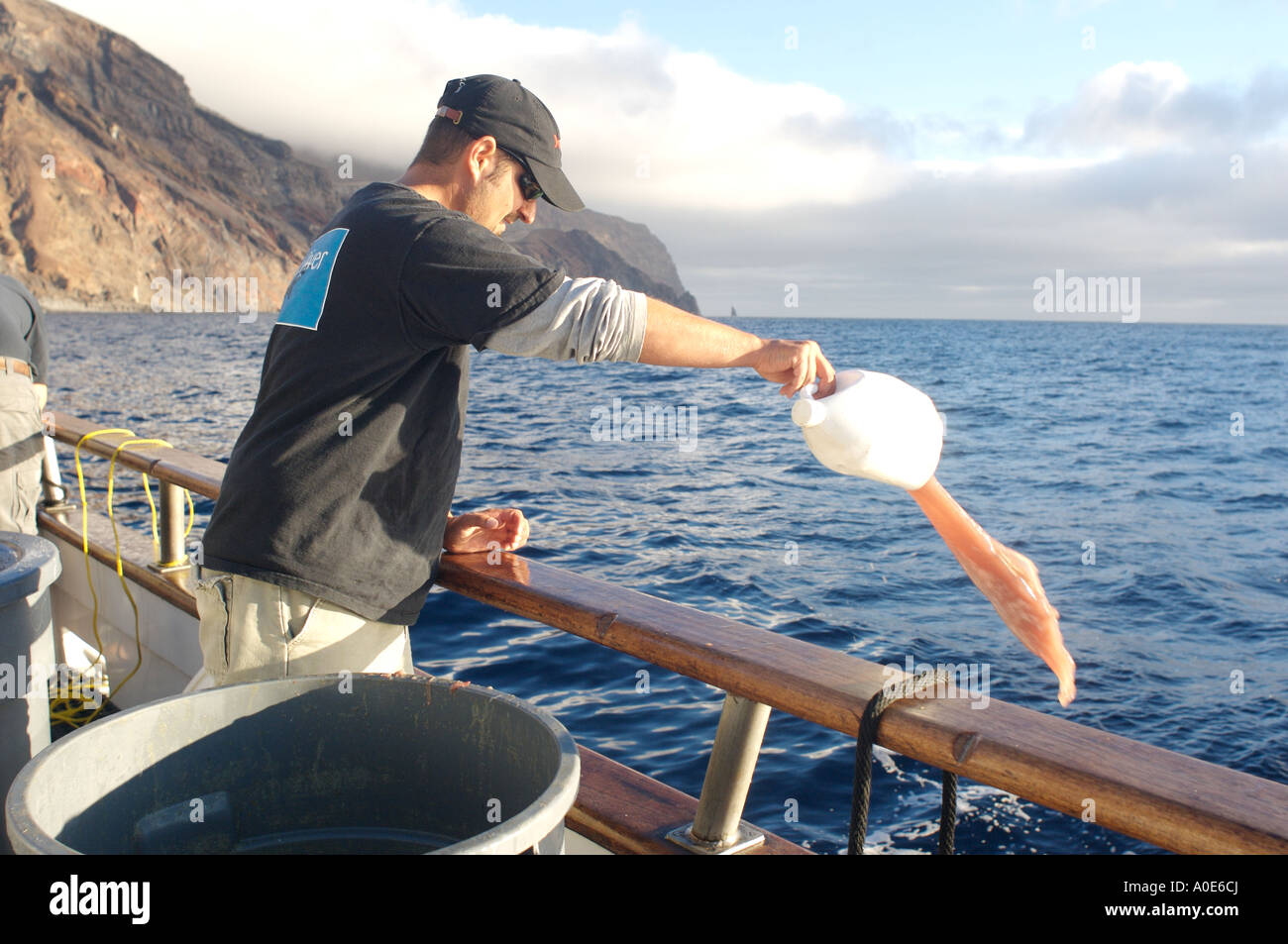 Una miscela di parti di pesce e sangue chum nell'acqua per attirare gli squali che nuotano fino il gradiente di profumo Foto Stock