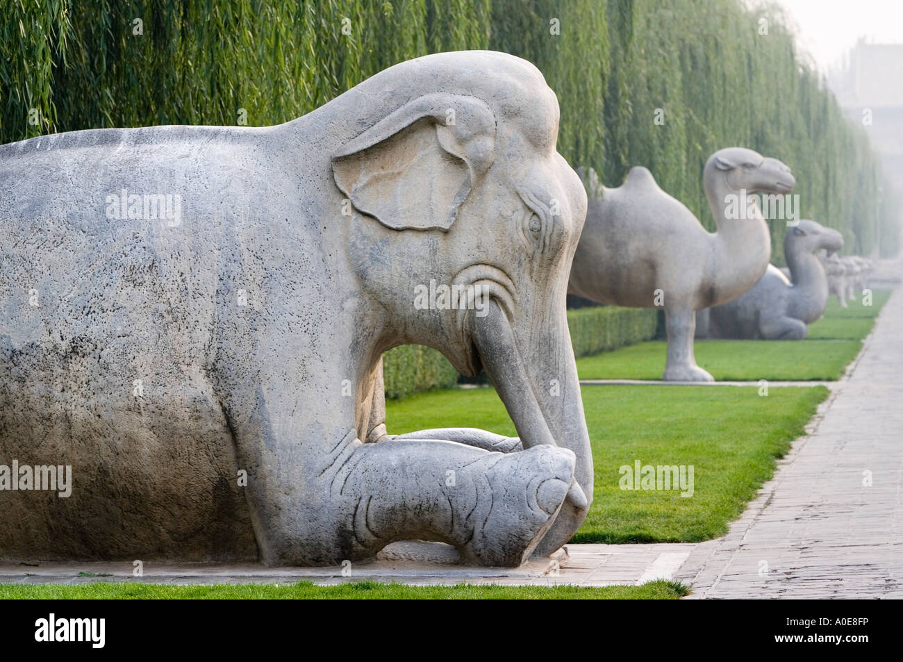 Le Tombe dei Ming 8- Via Sacra- Avenue degli animali Foto Stock