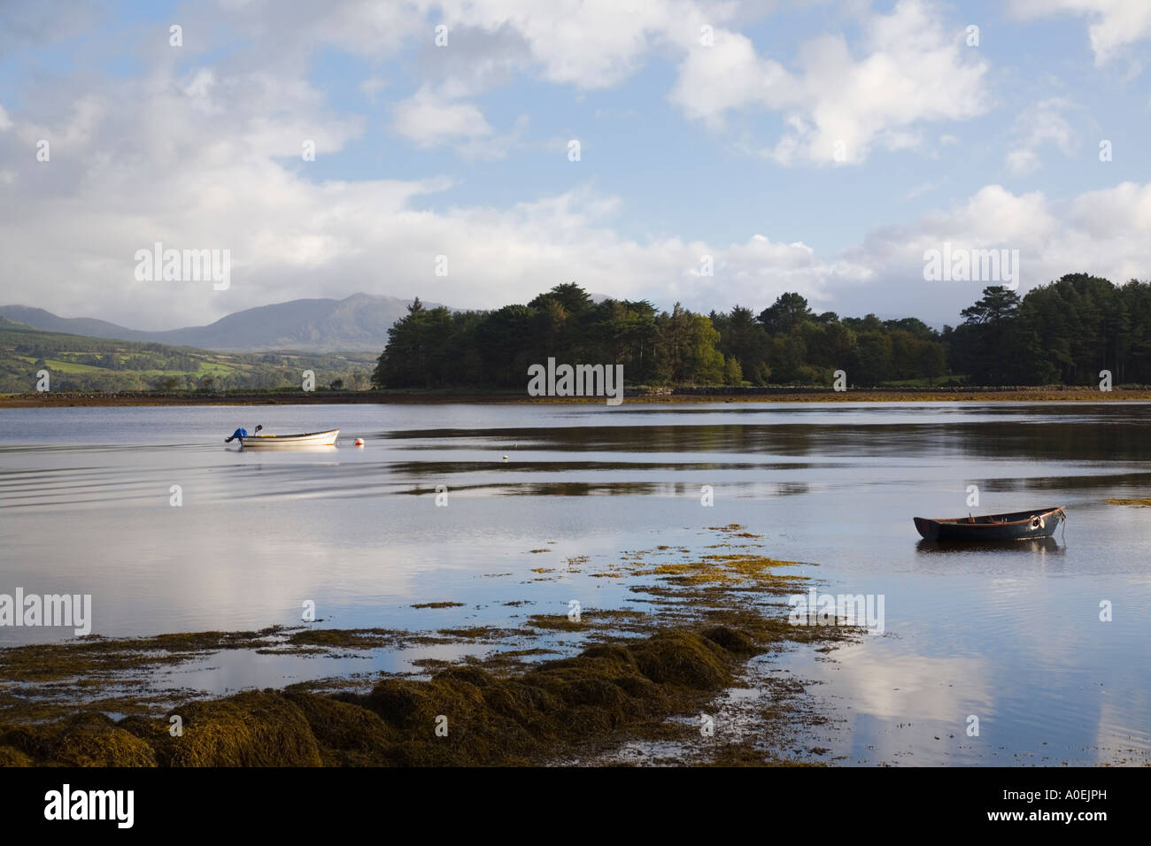 Paesaggistica costa vista nord attraverso Kenmare Bay Feoramore Co Kerry Eire Foto Stock
