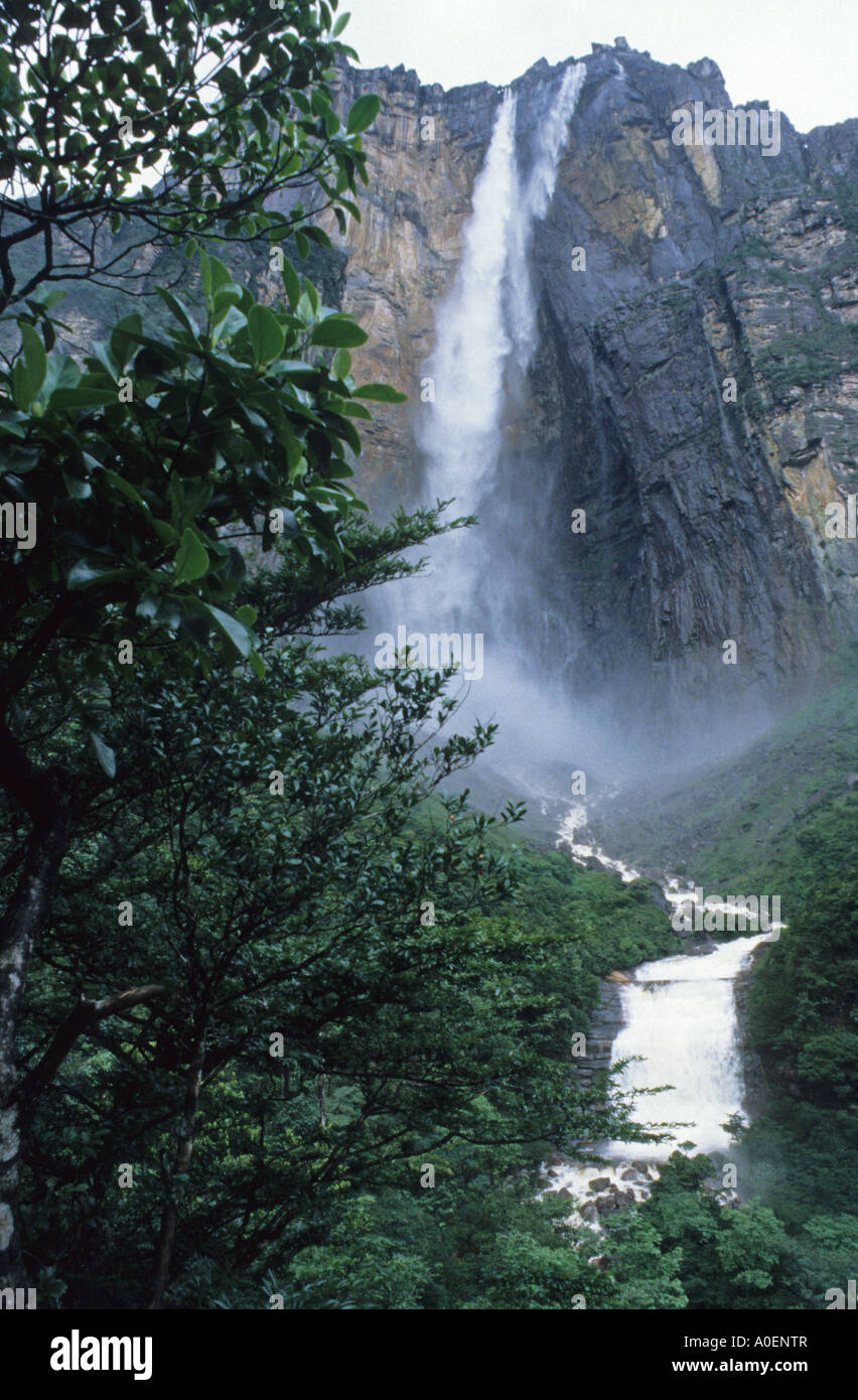 Angel Falls Gran Sabana Canaima Venezuela Foto Stock