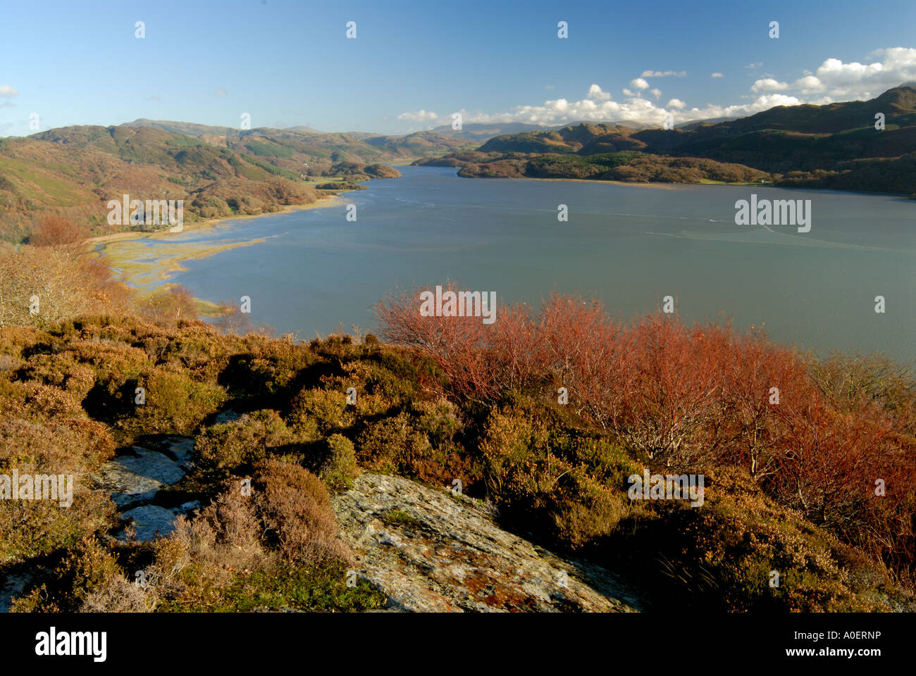 Afon Mawddach da Panorama a piedi Barmouth North West Wales Foto Stock