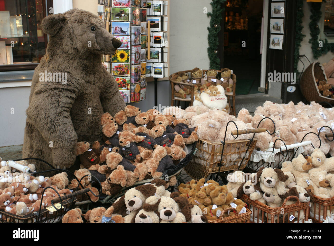Bear shop, Nikolaiviertel, Berlino Foto Stock
