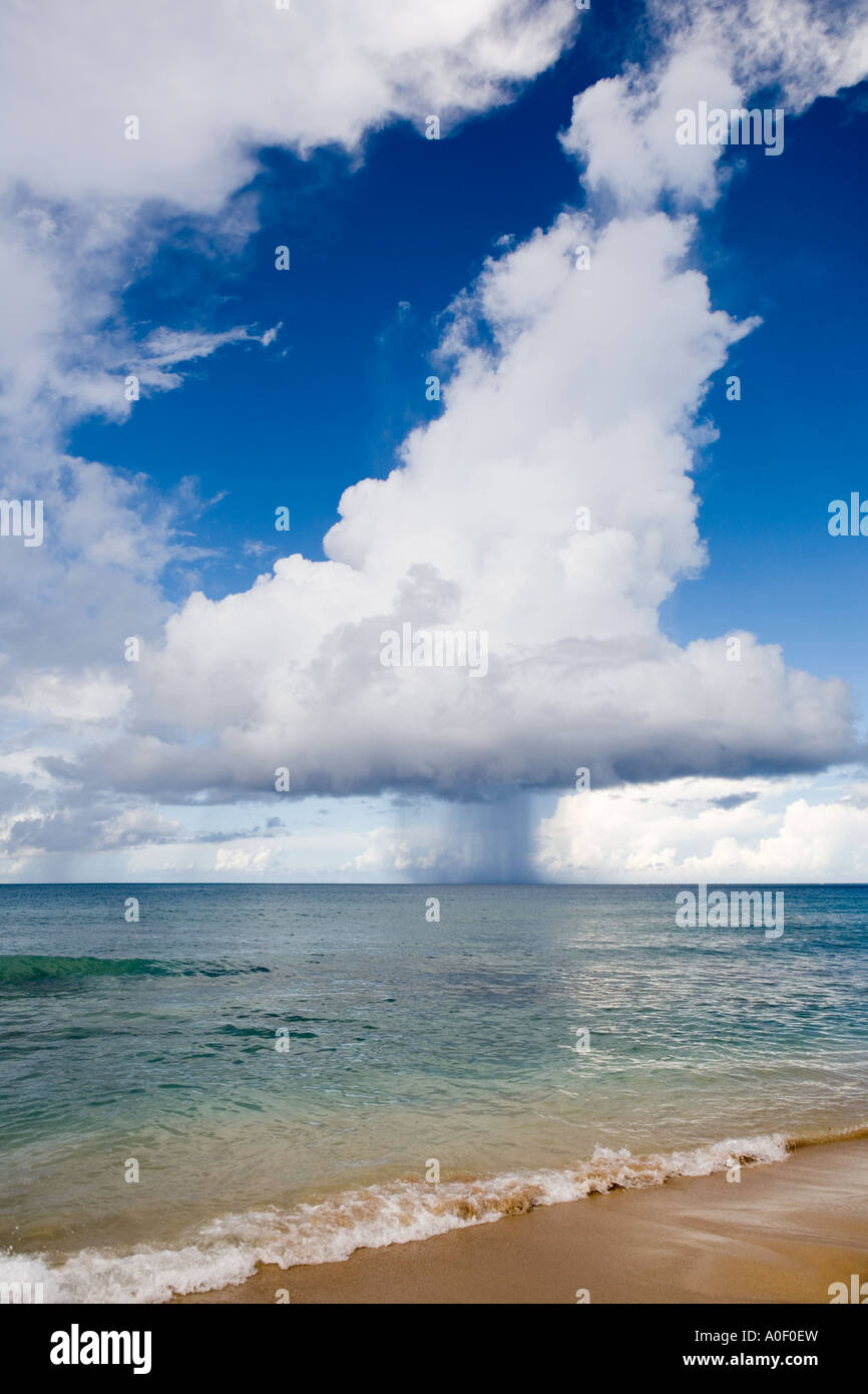 Nube formando oltre oceano e la spiaggia , Tobago isola dei Caraibi Foto Stock