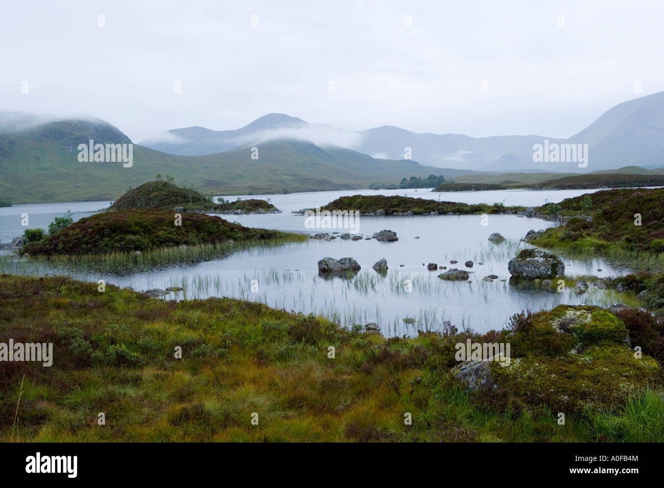 Pool di montagna su Rannoch Moor vicino a Glencoe in Scozia Foto Stock