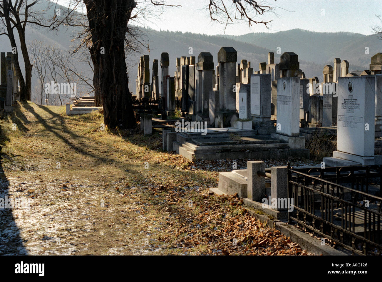 Vecchio Cimitero giudaica vicino a Piatra Neamt Moldavia lato orientale della Romania Romania Europa dell Est Europa Foto Stock