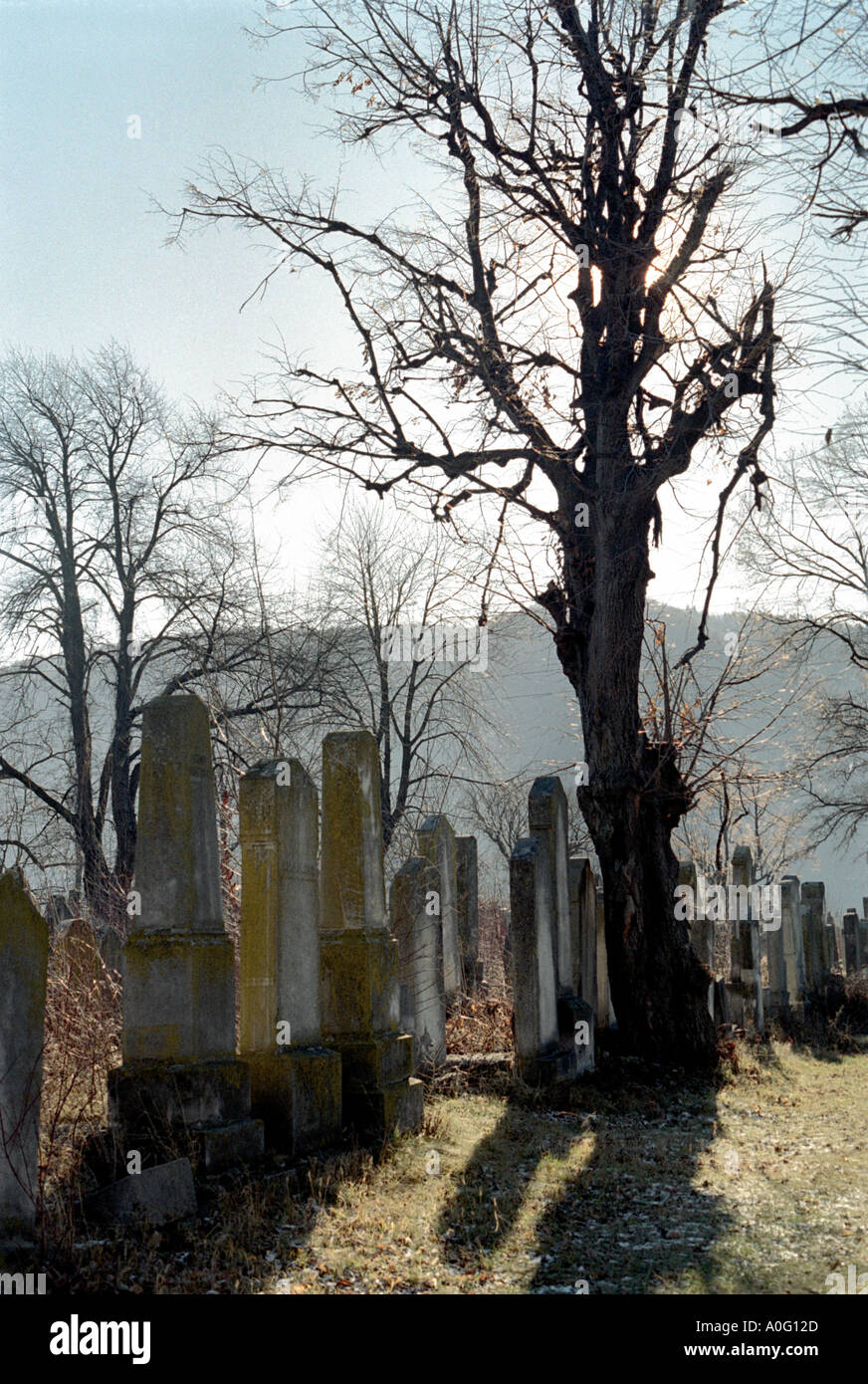 Vecchio Cimitero giudaica vicino a Piatra Neamt Moldavia lato orientale della Romania Romania Europa dell Est Europa Foto Stock