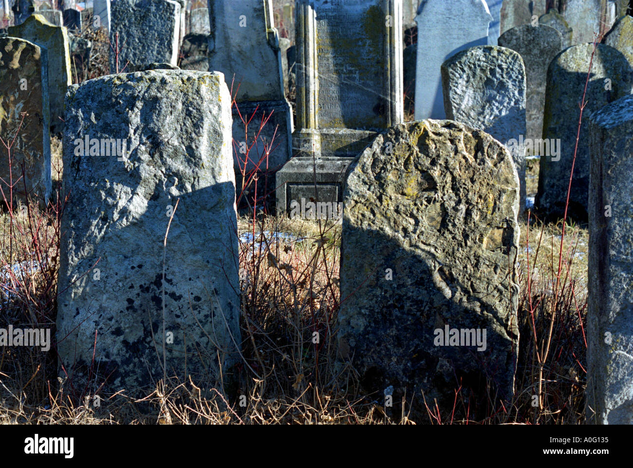 Vecchio Cimitero giudaica vicino a Piatra Neamt Moldavia lato orientale della Romania Romania Europa dell Est Europa Foto Stock