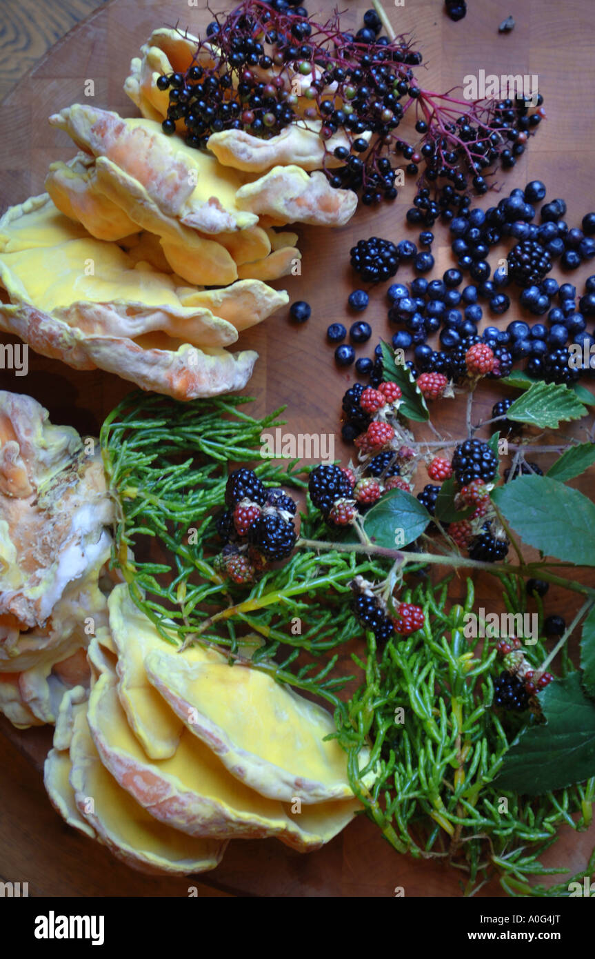 Gli ingredienti naturali raccolti dallo chef MATT TEBBUTT e rovistando esperto RAOUL VAN DEN BROUCKE Foto Stock