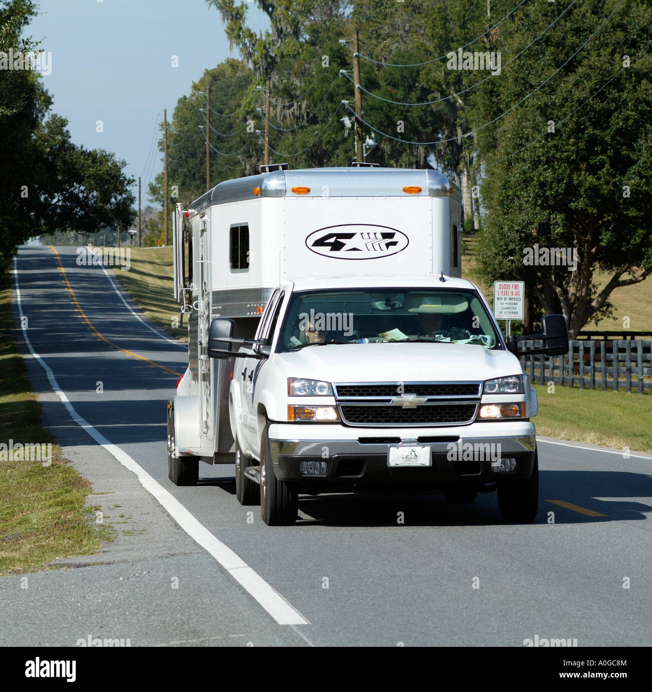 Van per cavalli rimorchio trainato Florida USA Foto Stock