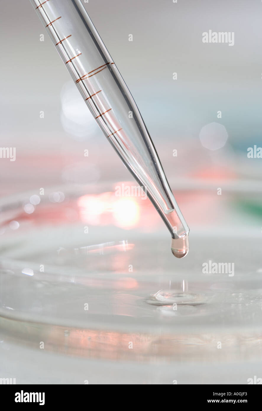 Contagocce e capsula di petri Foto Stock