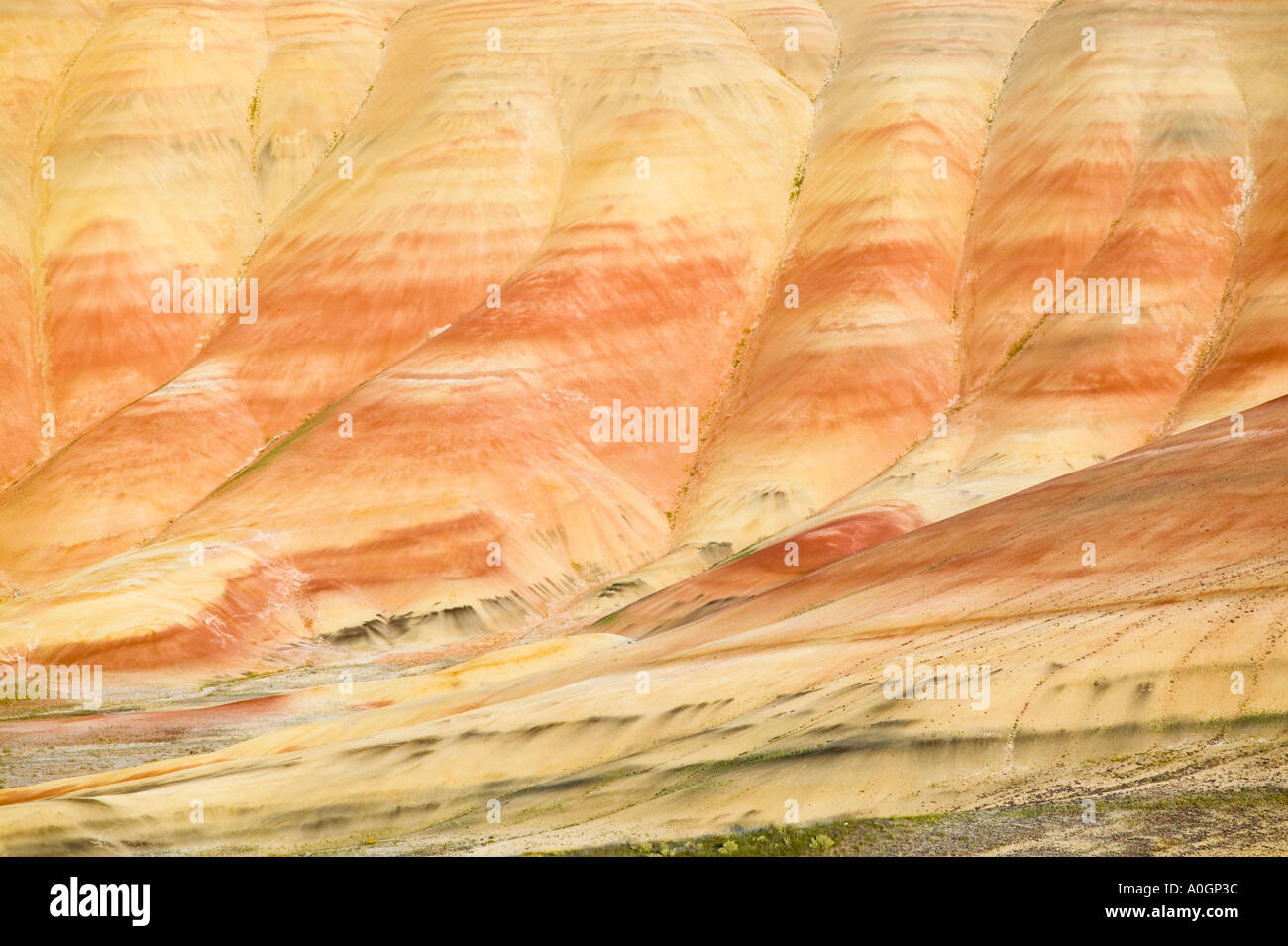 Colline dipinte di John giorno letto fossile National Park in Oregon Foto Stock