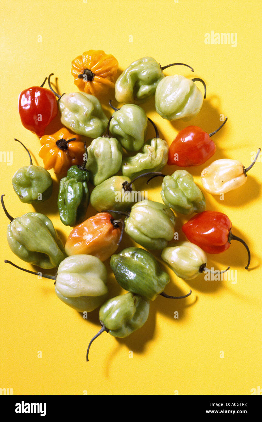Habanero Peppers Foto Stock