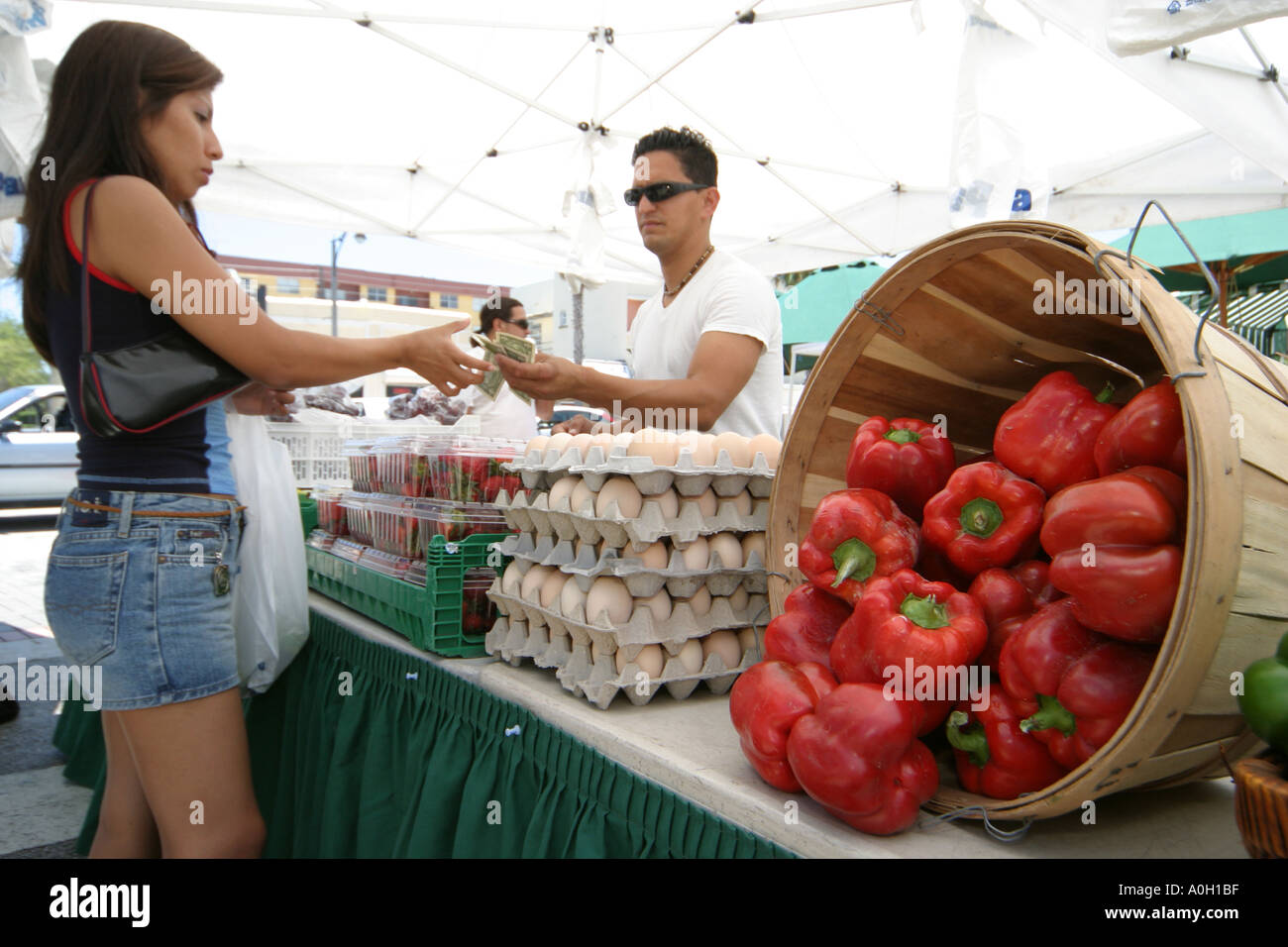 Miami Beach Florida,Normandy Village Marketplace,ispanico Latino etnia immigrati minoritari minoranza,produrre,frutta,verdura,verdura,cibo,ve Foto Stock