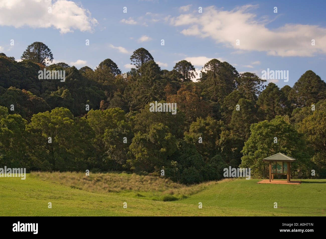 Bunya Mountain National Park vista generale Foto Stock