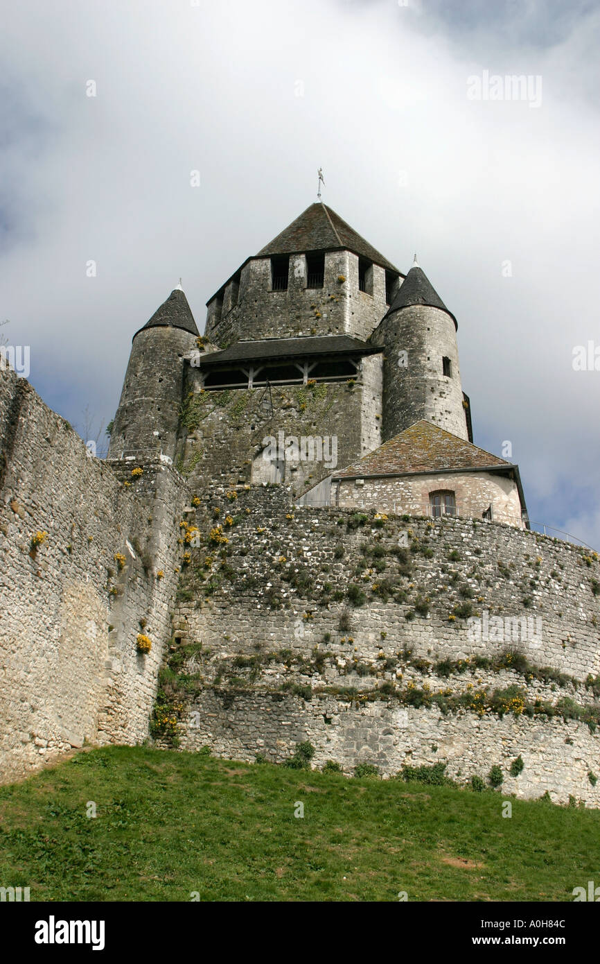 Cesare Torre a Provins, Ile de France, Francia Foto Stock