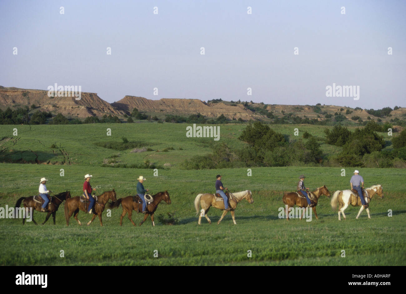 Gli allevatori di bestiame a cavallo Foto Stock