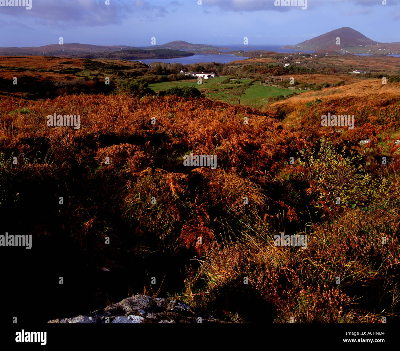 Tully Mountain Connemara Galway Irlanda Foto Stock
