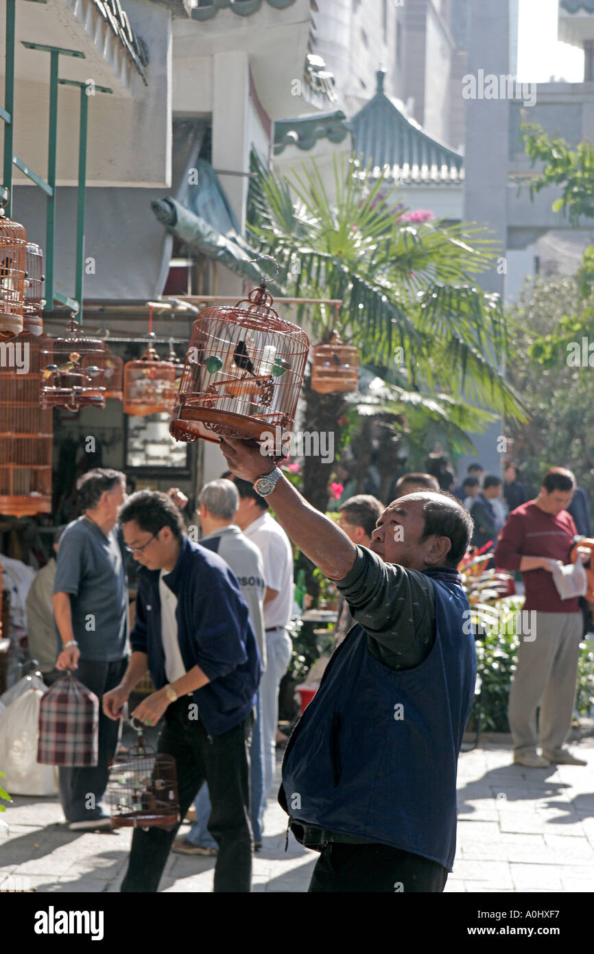 Cina Hong Kong Mon KoK bird market Yuen Po cinese di strada degli uomini con i loro gabbie di uccelli Foto Stock