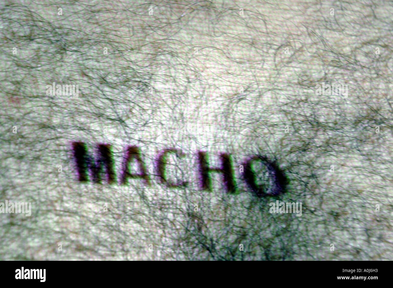 Maschio, hairy, torace, caucasico uomo macho, divertente Foto Stock