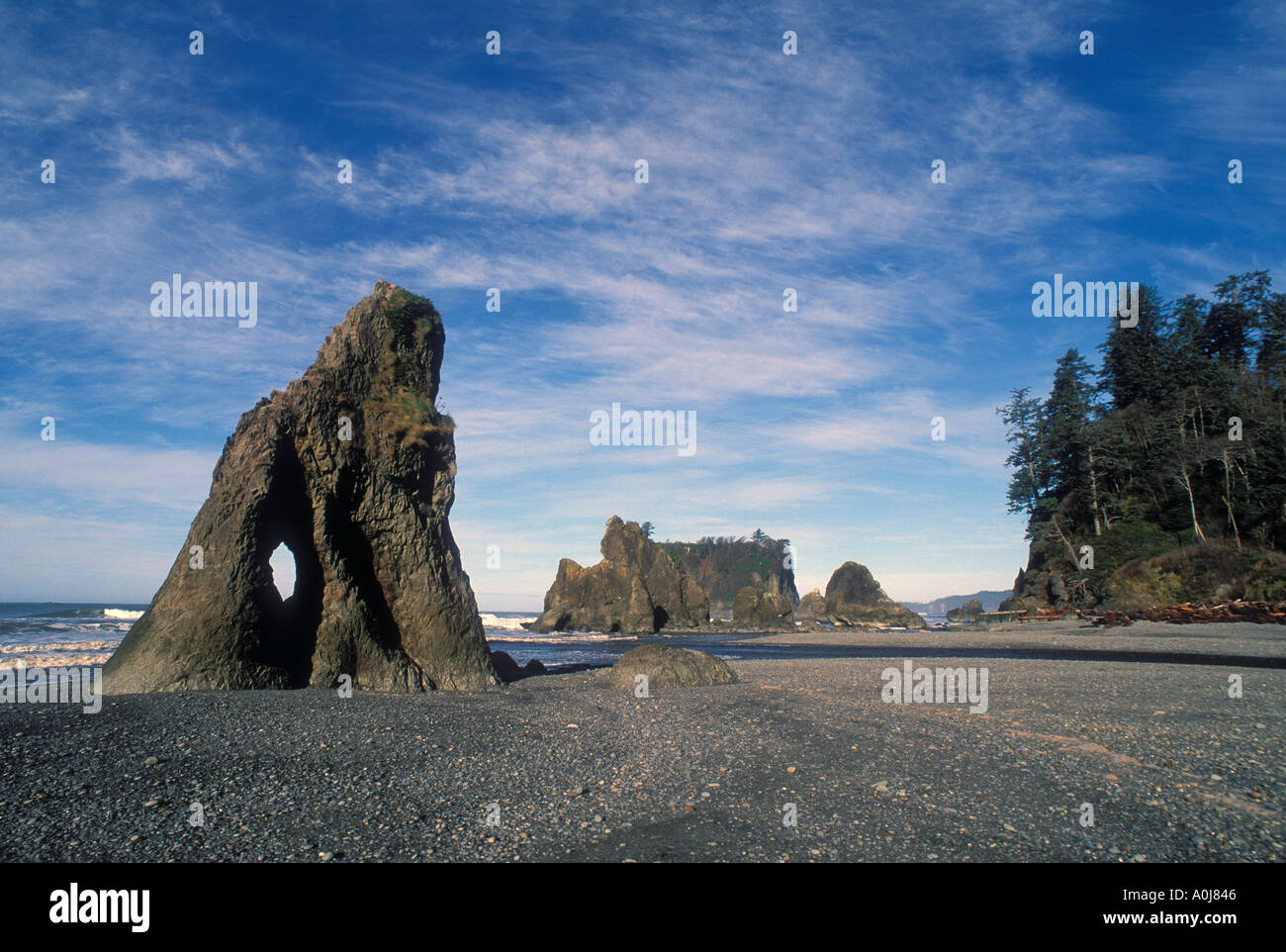 Pile di mare al ruby beach parco nazionale di Olympic Washington Stati Uniti d'America Foto Stock