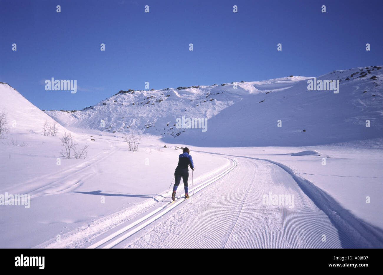 Cross-country sciatore nel magnifico paesaggio invernale Foto Stock