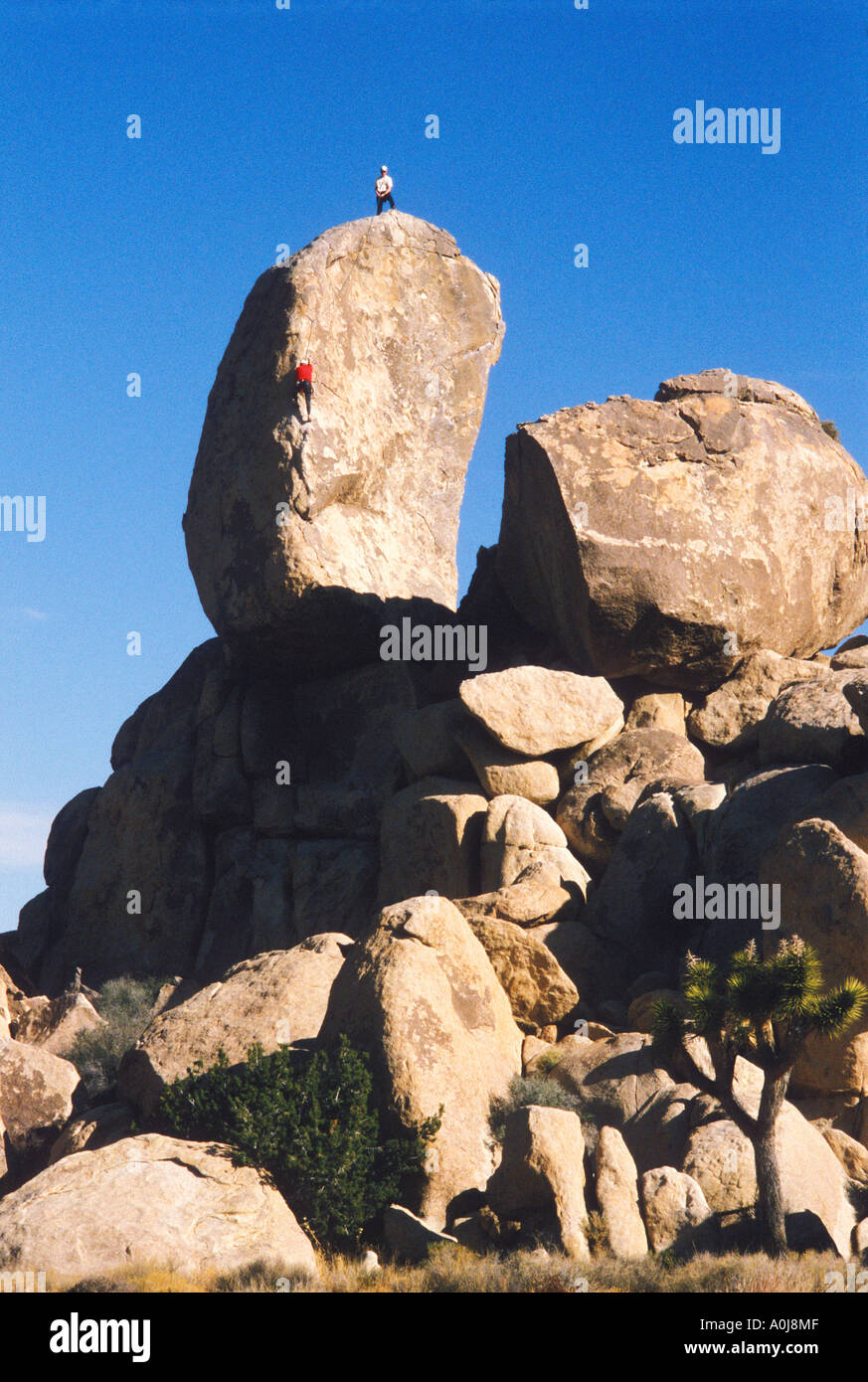 Gli alpinisti a Joshua Tree National Park CA Foto Stock