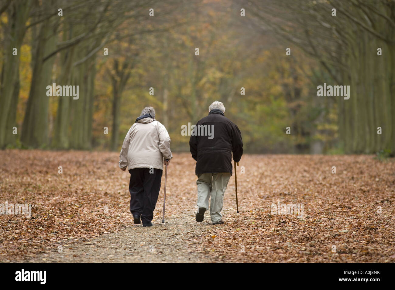 Pochi anziani Felbrigg NORFOLK REGNO UNITO Foto Stock