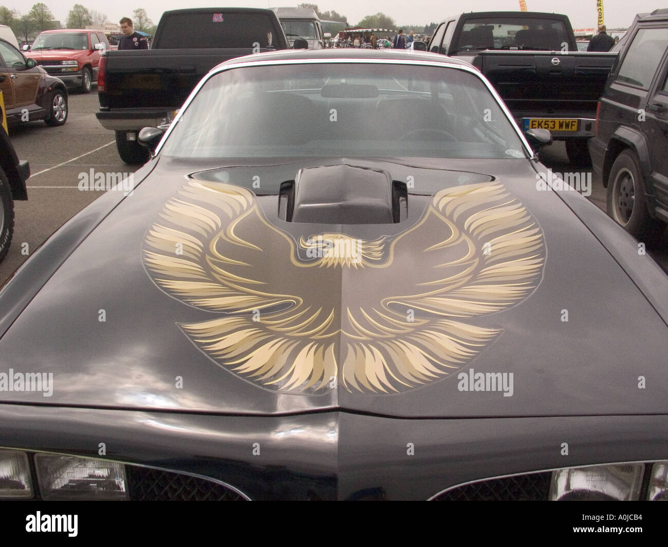 Eagle dipinta sul cofano dell'Americano classico auto in mostra Foto Stock