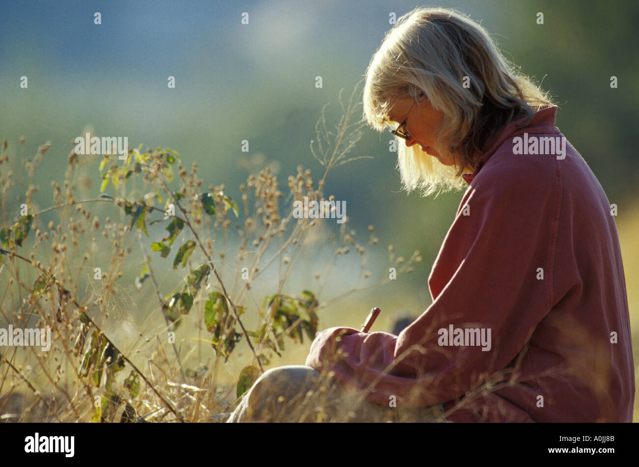 USA donna iscritto nella sua latteria in un tranquillo ambiente all'aperto Foto Stock