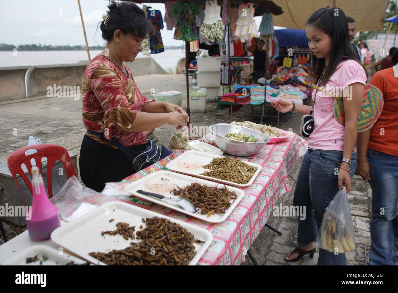 Insetti fritti stallo a mercato serale lungo il fiume Mekong in Chiang Mai nel nord est della Thailandia Foto Stock