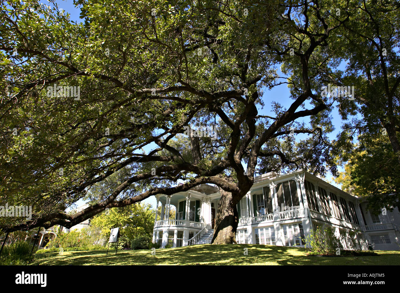 TEXAS ad Austin residenze e case convertito in uffici in blocco Bremond elegante edificio della fine del XIX secolo nelle case Foto Stock