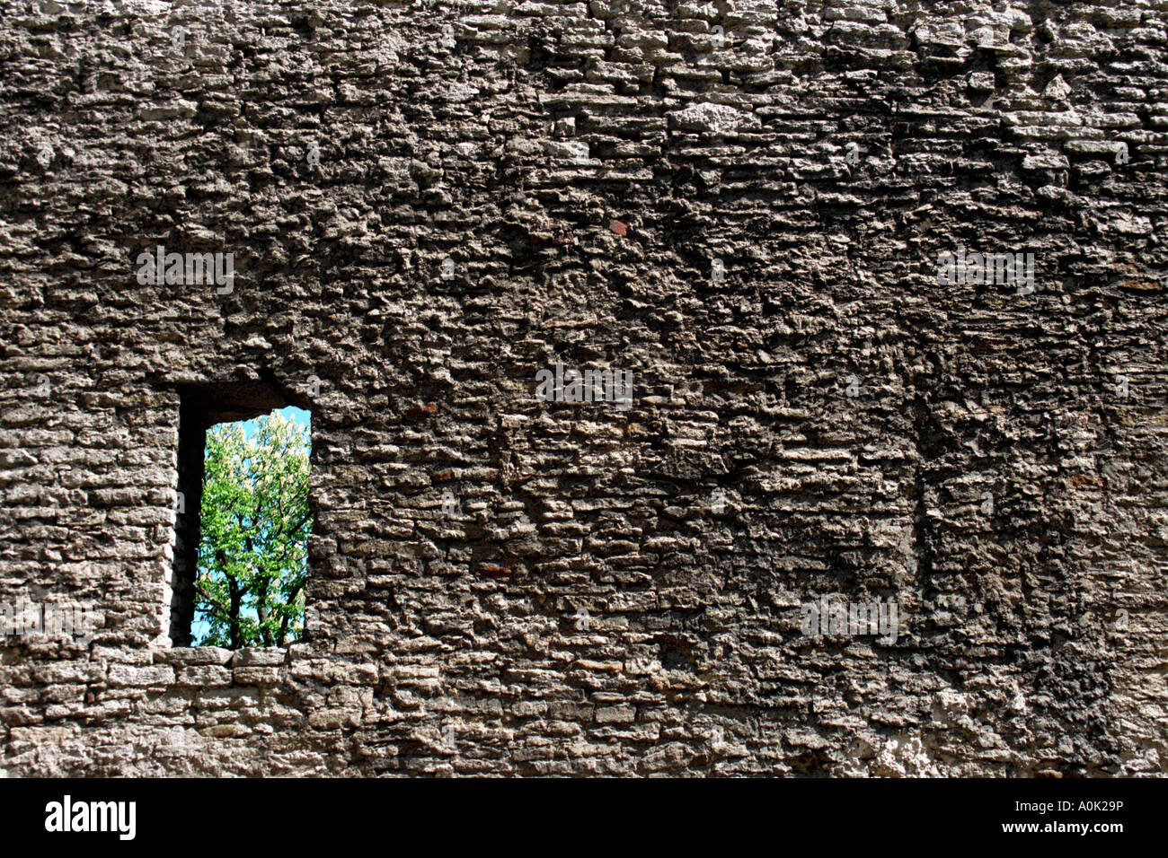 Textured le mura della città di Tallin, Estonia Foto Stock