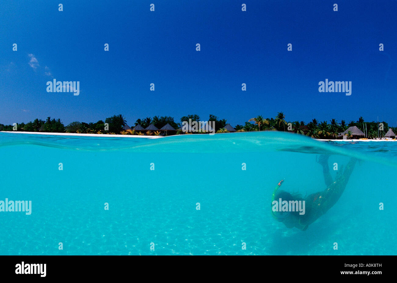 Lo snorkeling in laguna Oceano indiano Isole Maldive Foto Stock