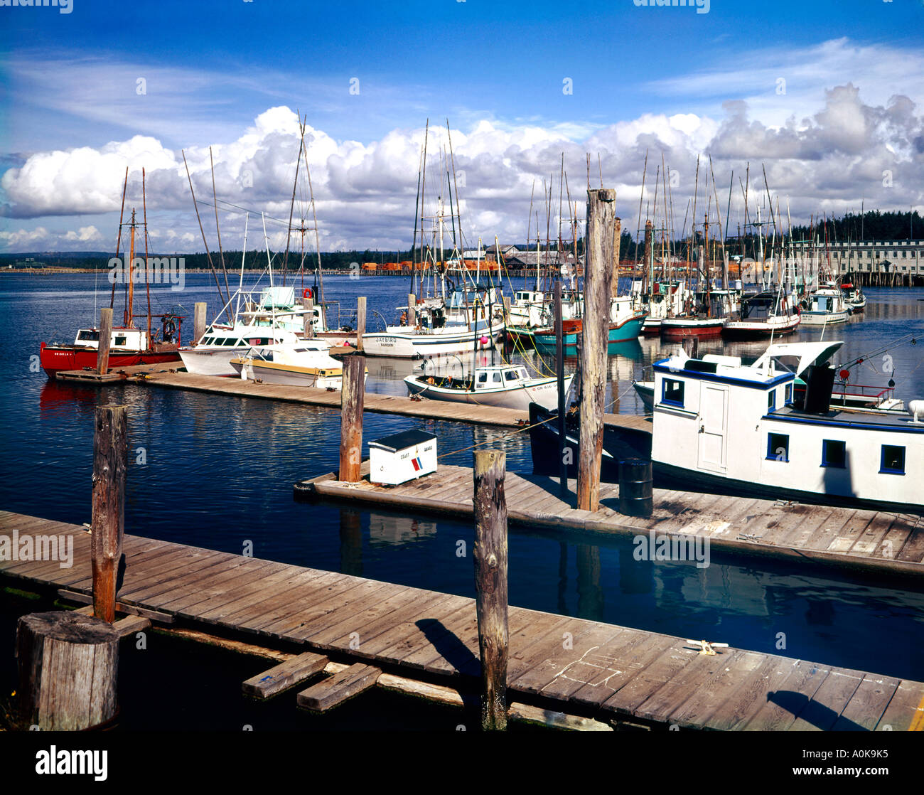 Barche da pesca al di ancoraggio nella marina commerciale al Bandon sulla South Oregon Coast Foto Stock