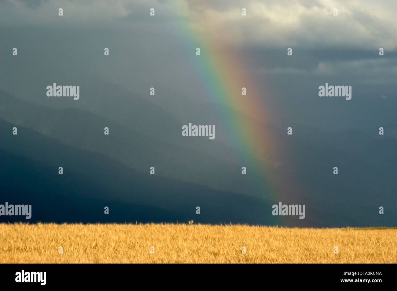 Rural scenic con rainbow, Montana negli Stati Uniti Foto Stock