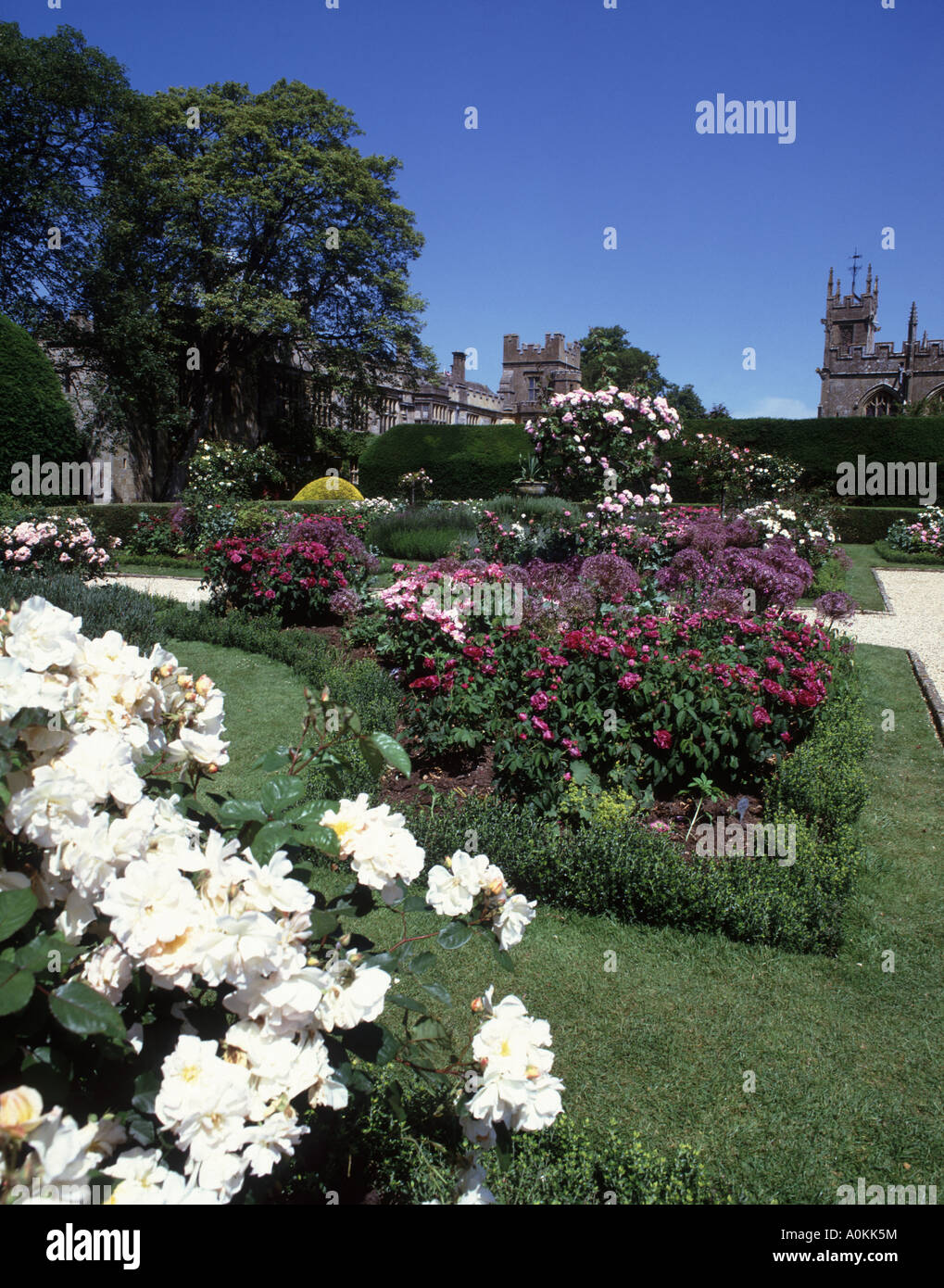 Il giardino delle rose al Castello di Sudeley una volta casa di Katherine Parr, nei pressi di Winchcombe Foto Stock