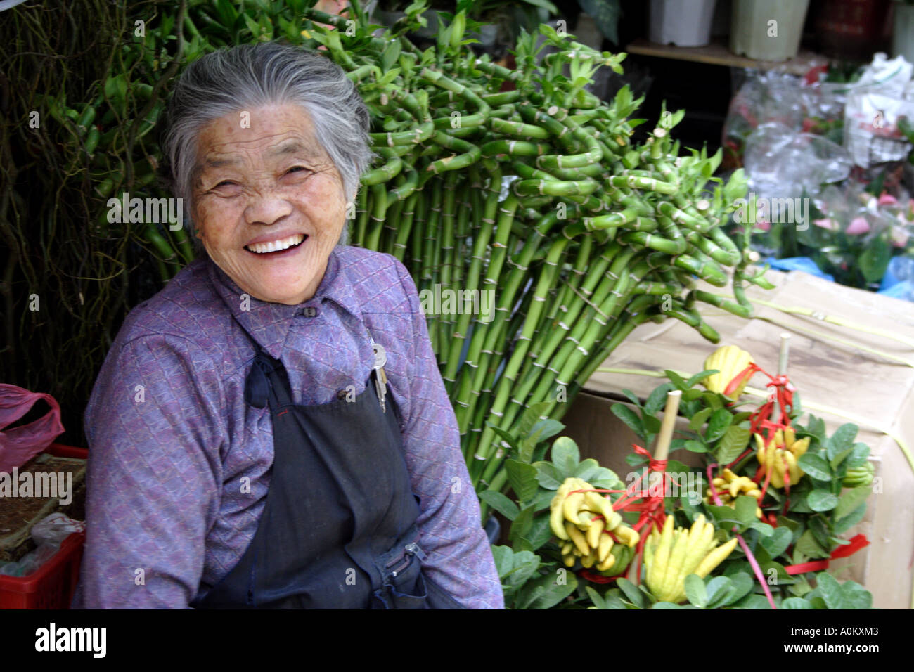 Donna anziana la vendita di fiori e piante a Wan Chai District, Hong Kong Foto Stock