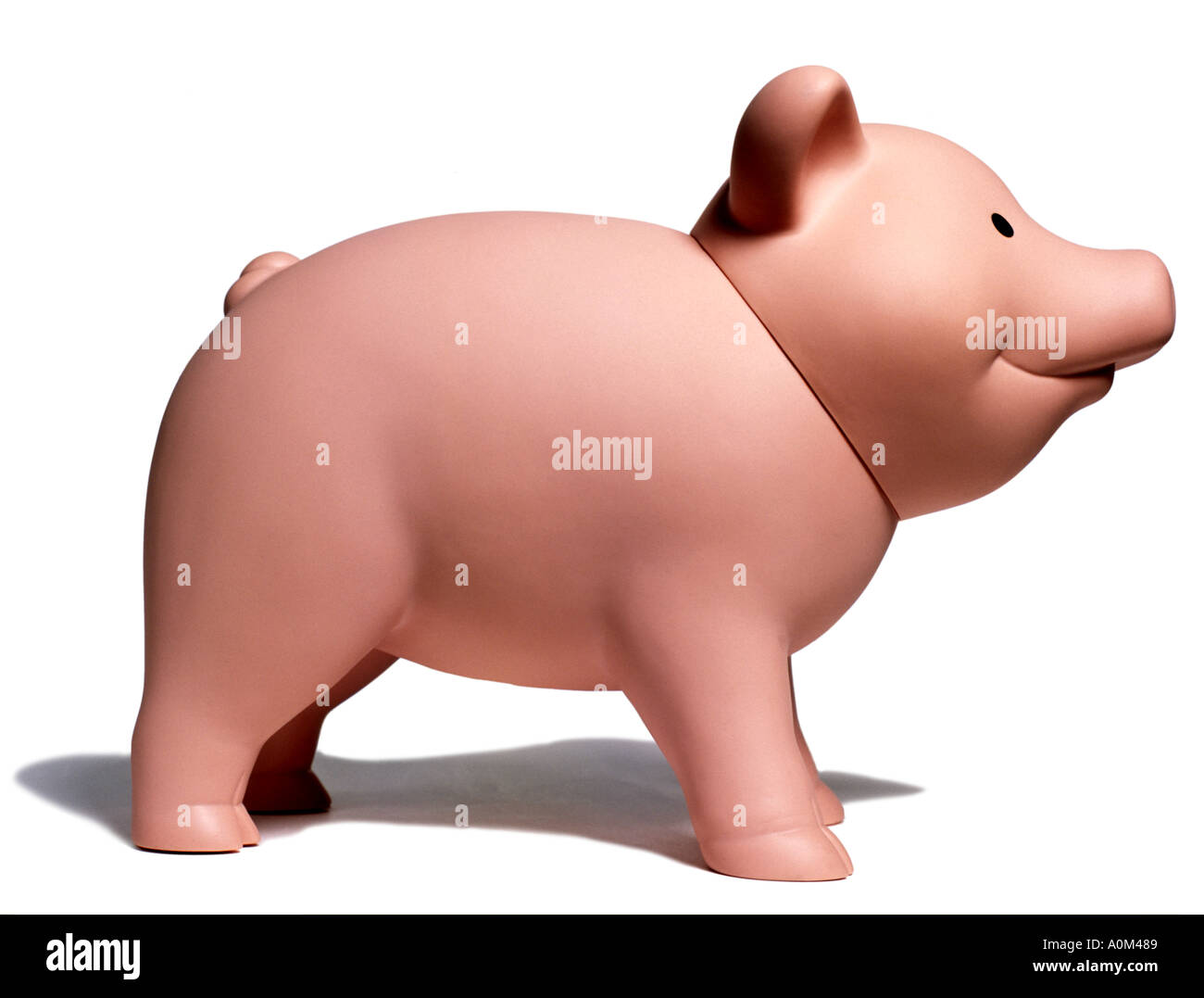 Piggy Bank Foto Stock