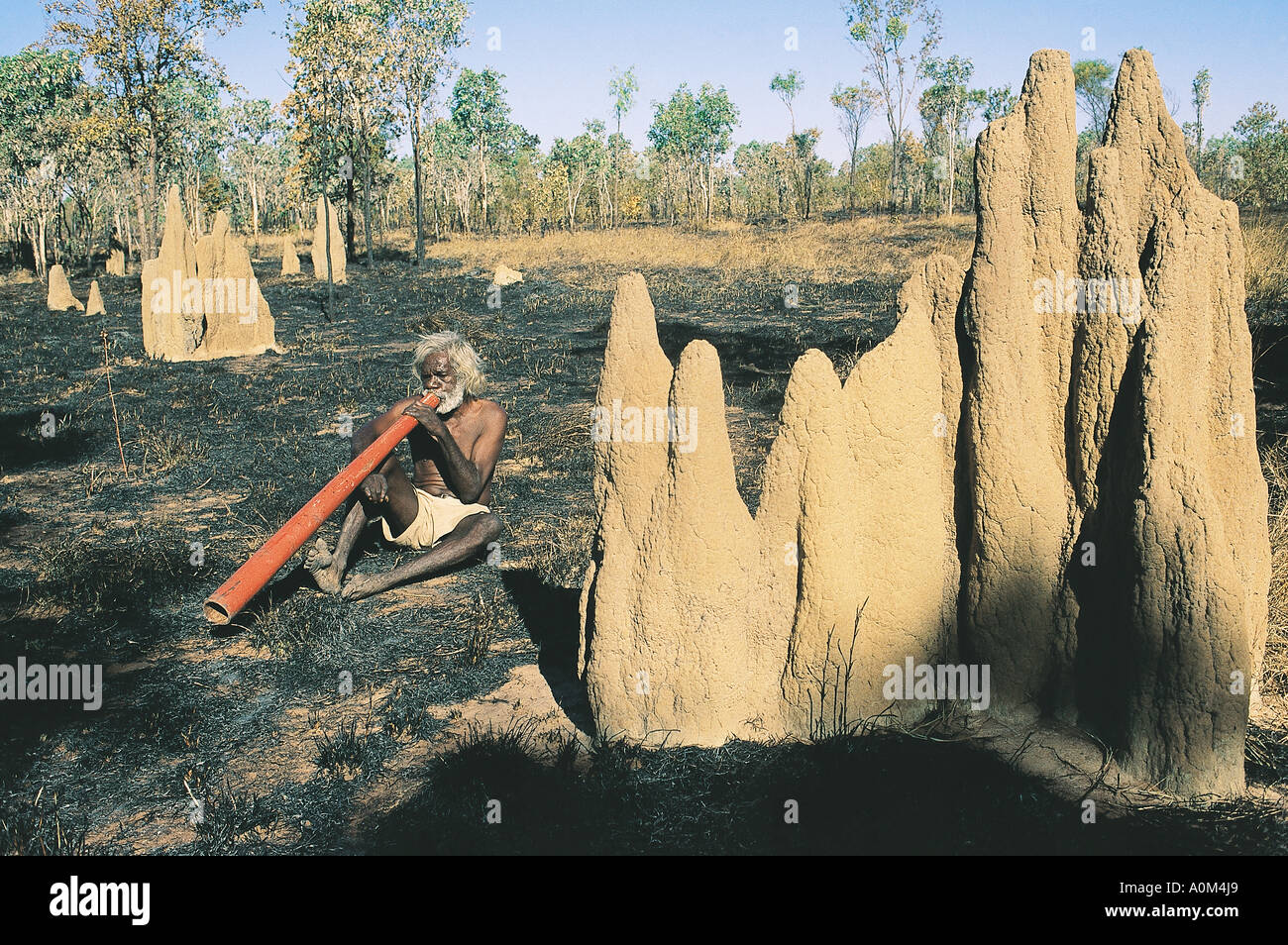 Un anziano aborigeno giocando didgeridoo in Arnhem Land Australia Foto Stock