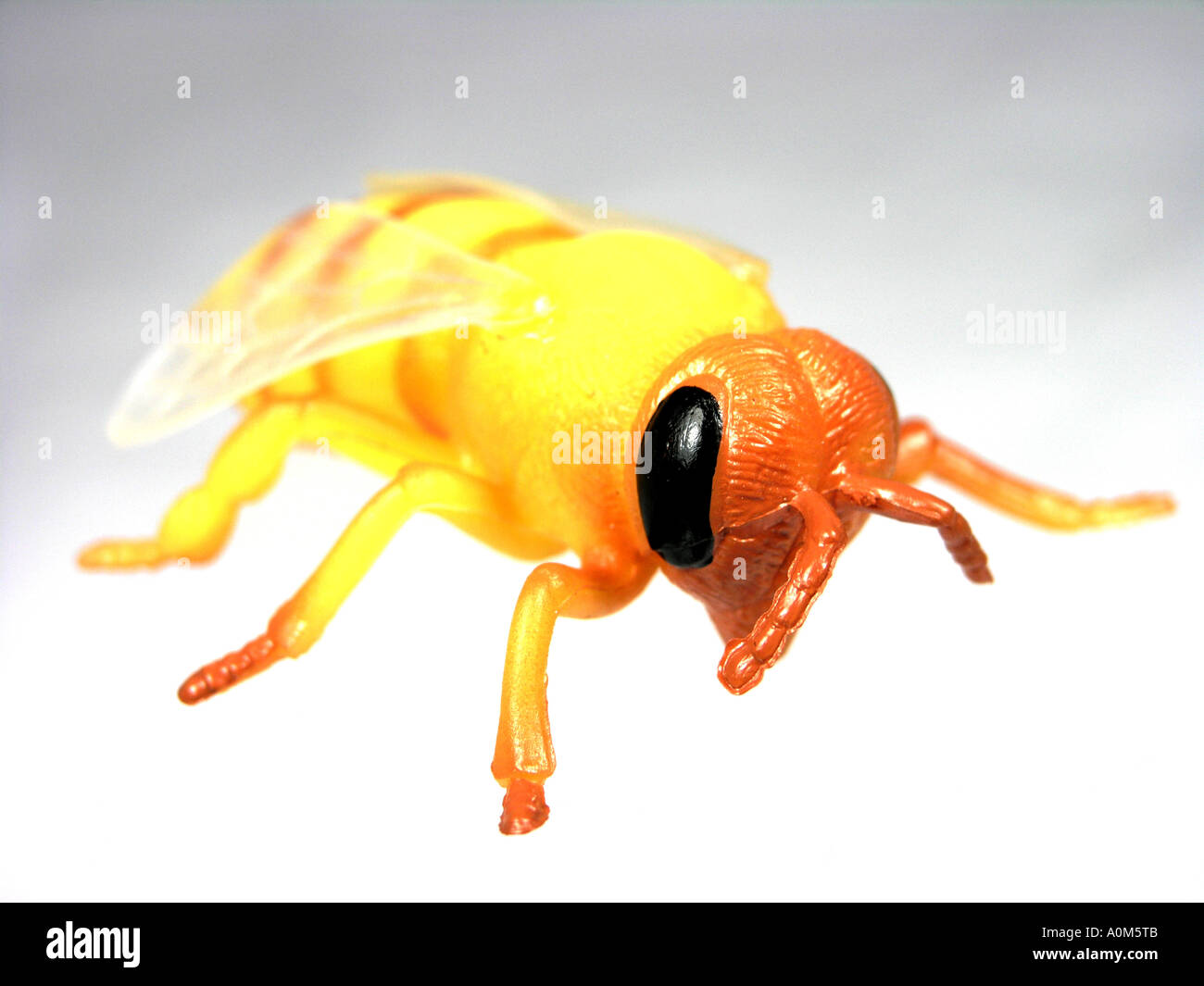 In plastica gialla ape insetto giocattolo Foto Stock