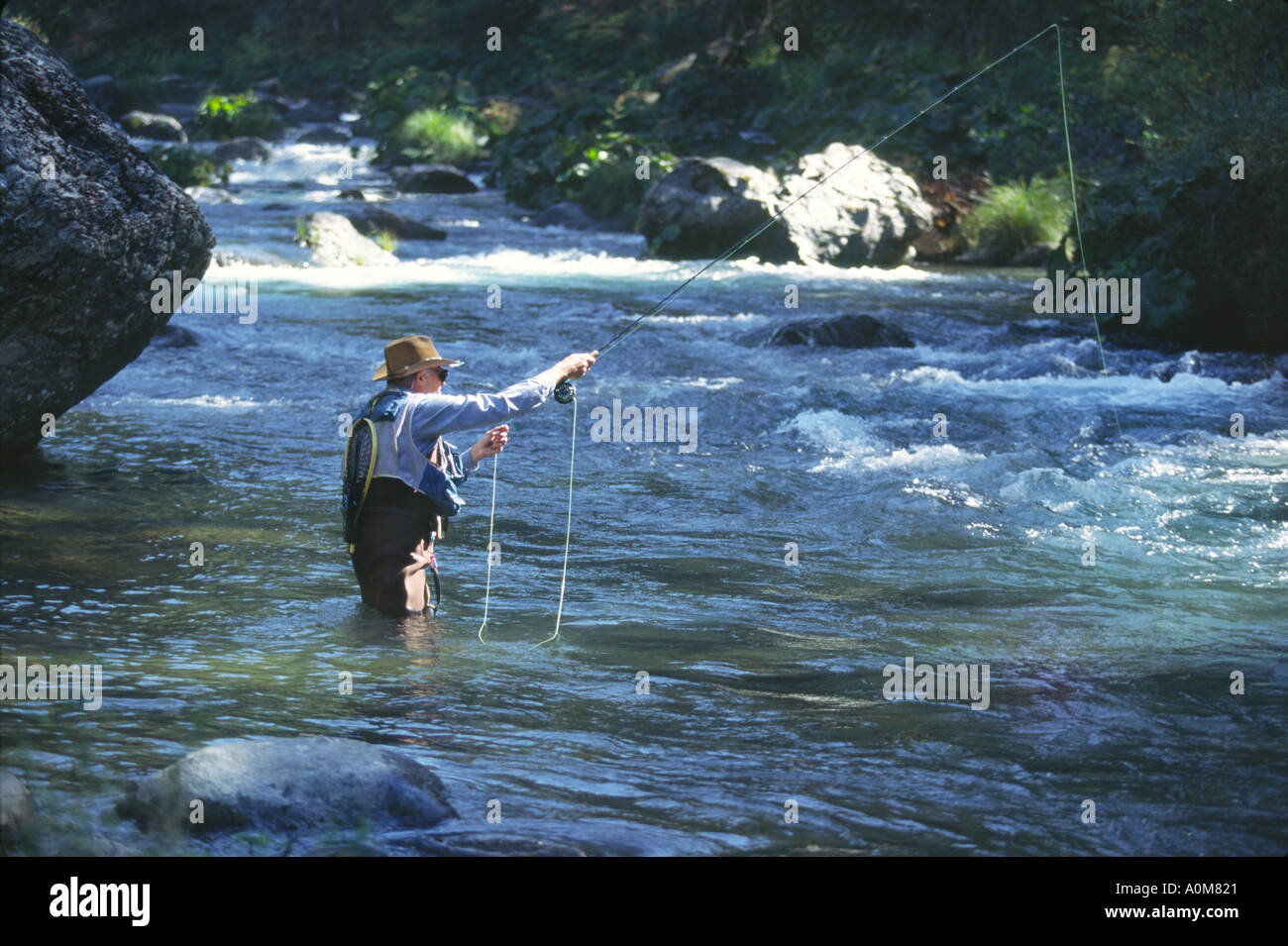 Pesca a mosca nel nord della California Modello rilasciato Image Foto Stock
