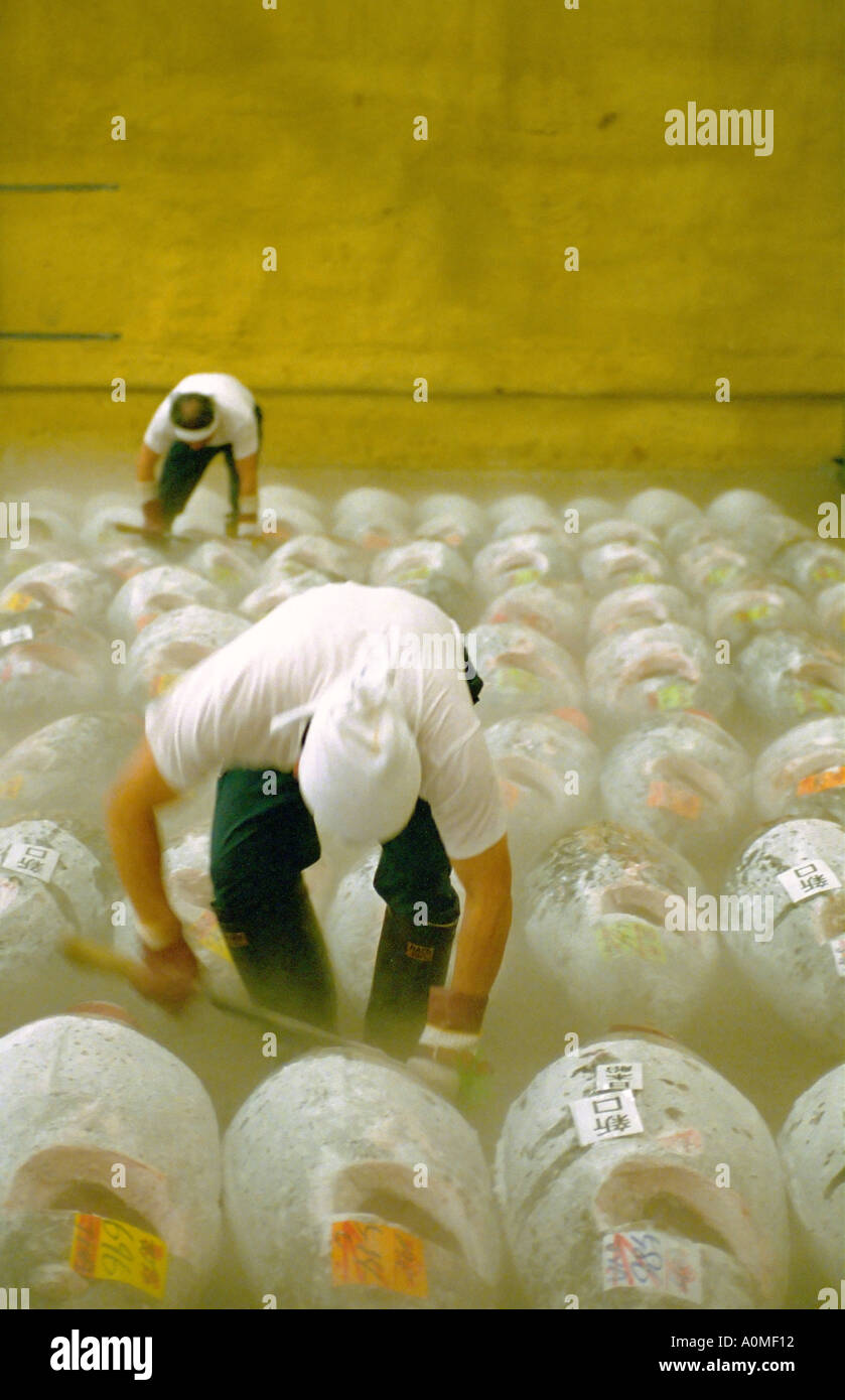 Ispezione del tonno congelato presso il Mercato del Pesce di Tsukiji Tokyo Giappone Foto Stock