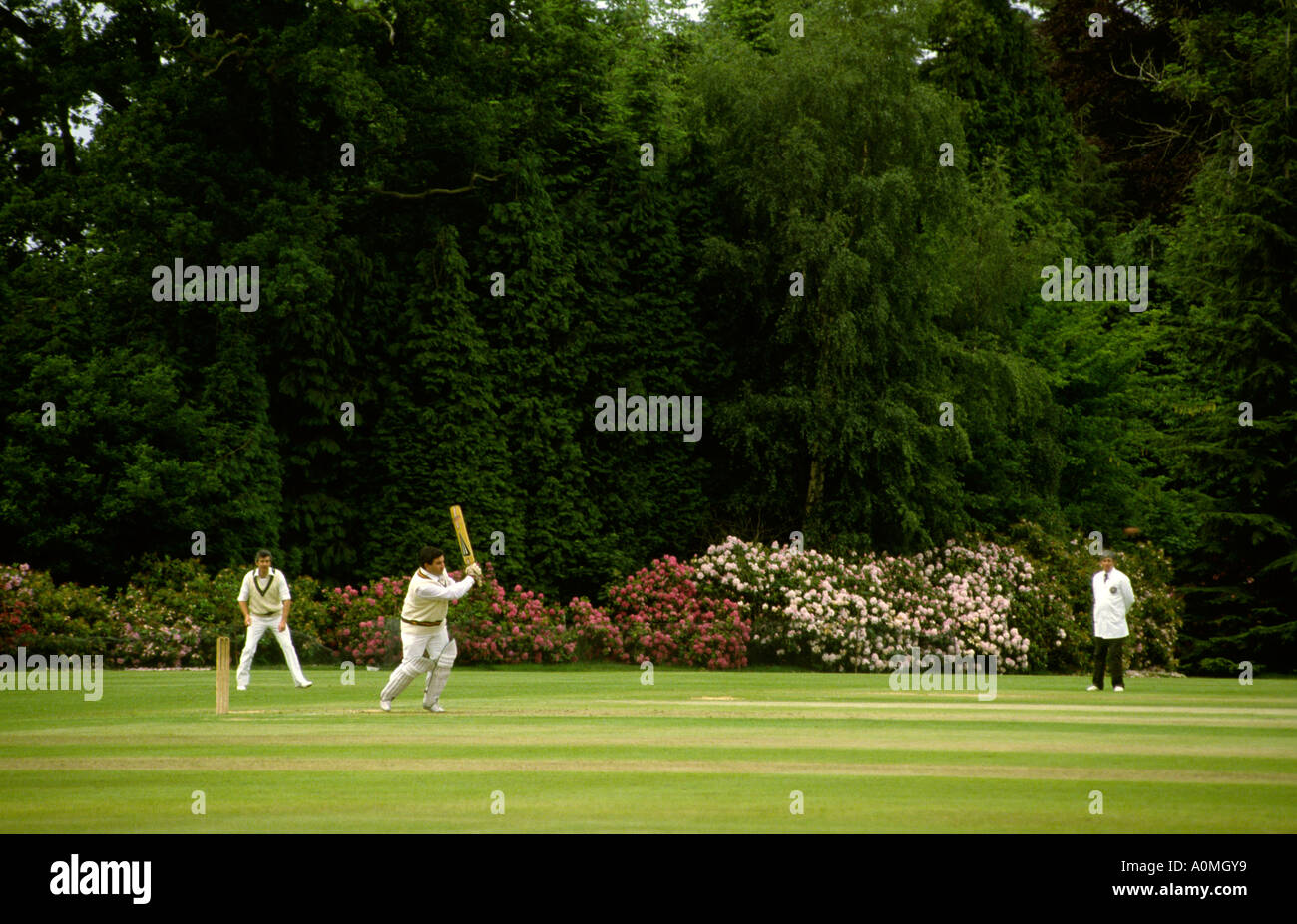 Villaggio signorile cricket ground a Marchweil Hall Foto Stock