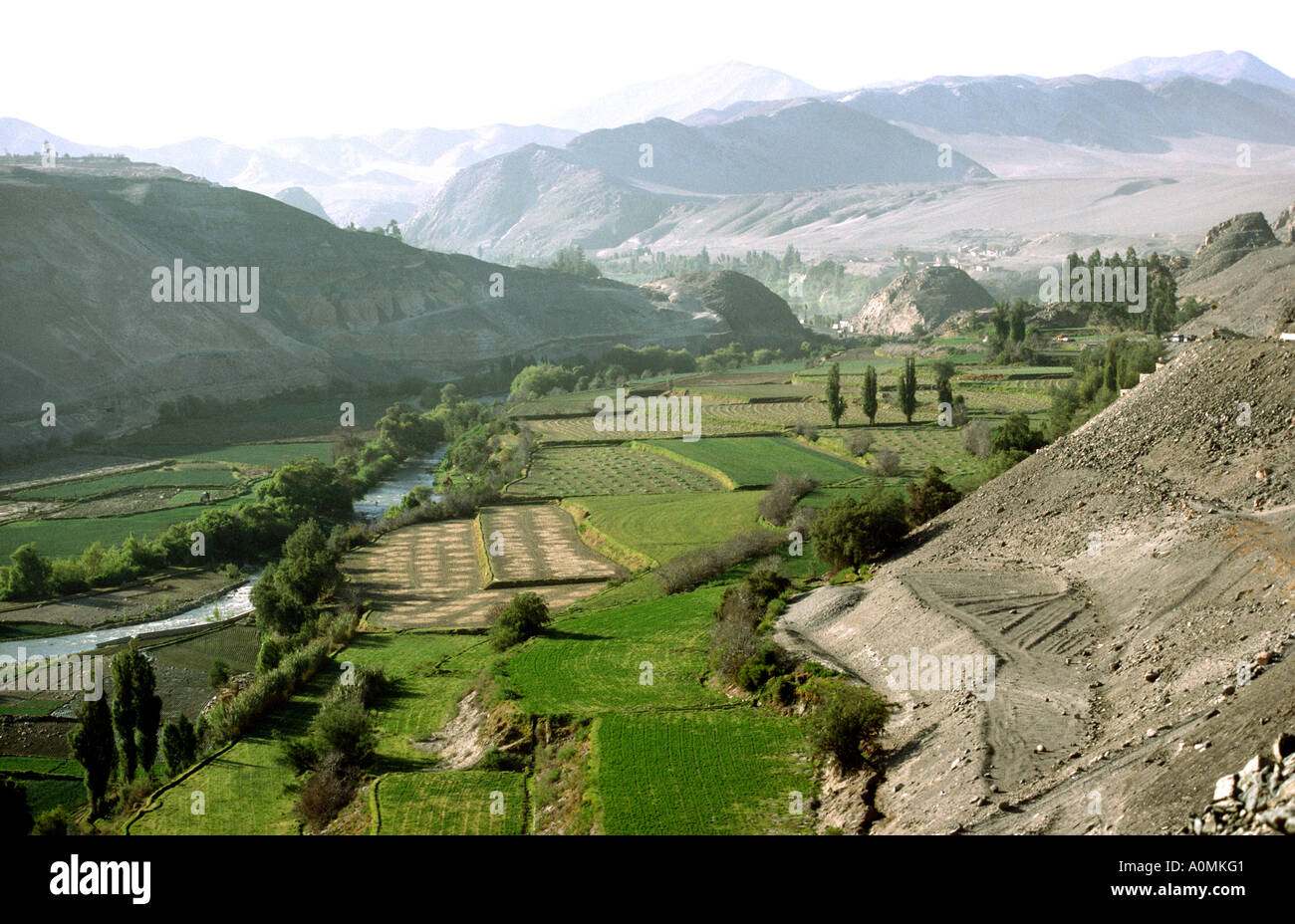Il Perù Arequipa agricoltura valle fertile Foto Stock