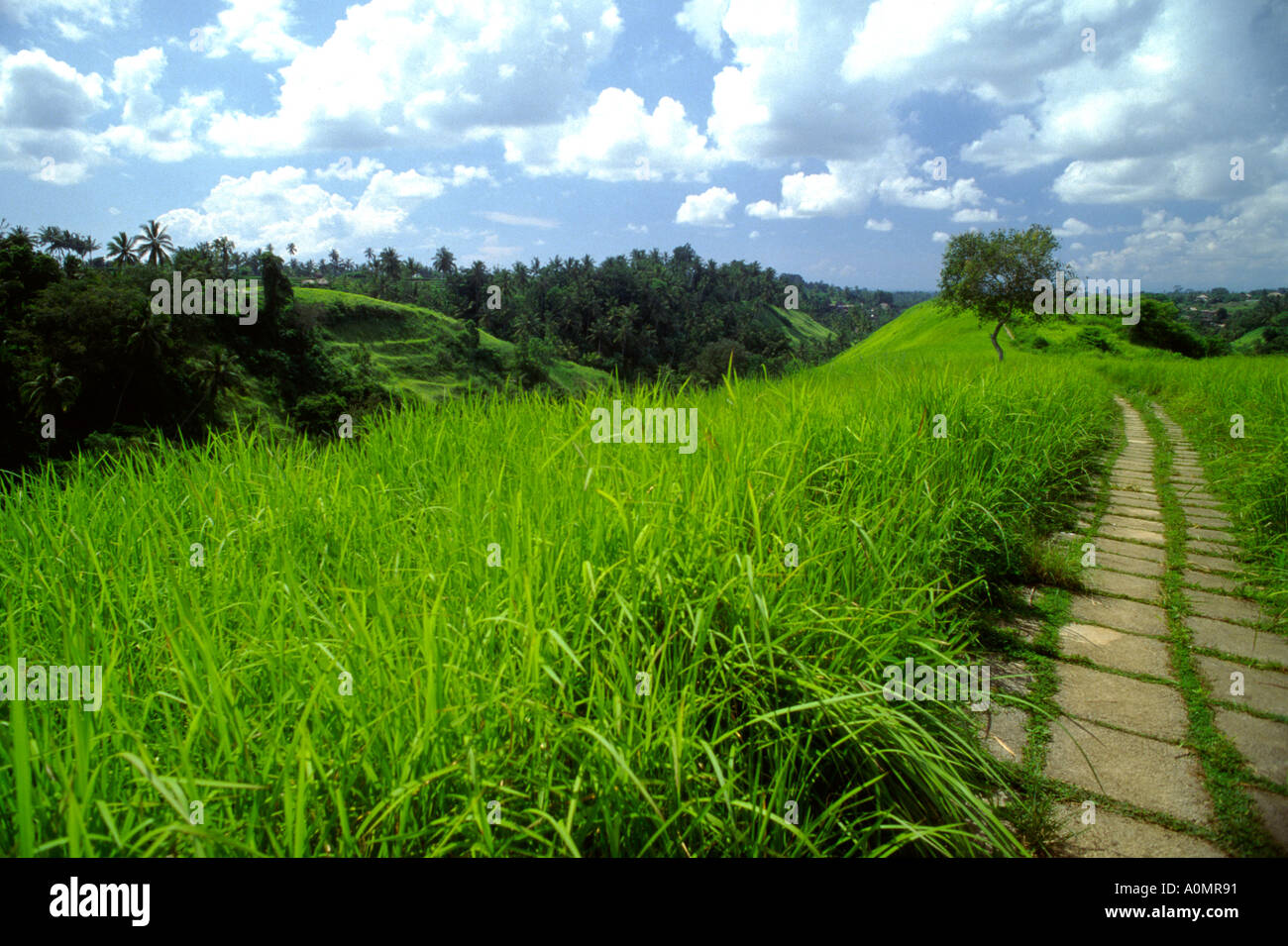 Sentiero artistico vicino a Bali Ubud Foto Stock