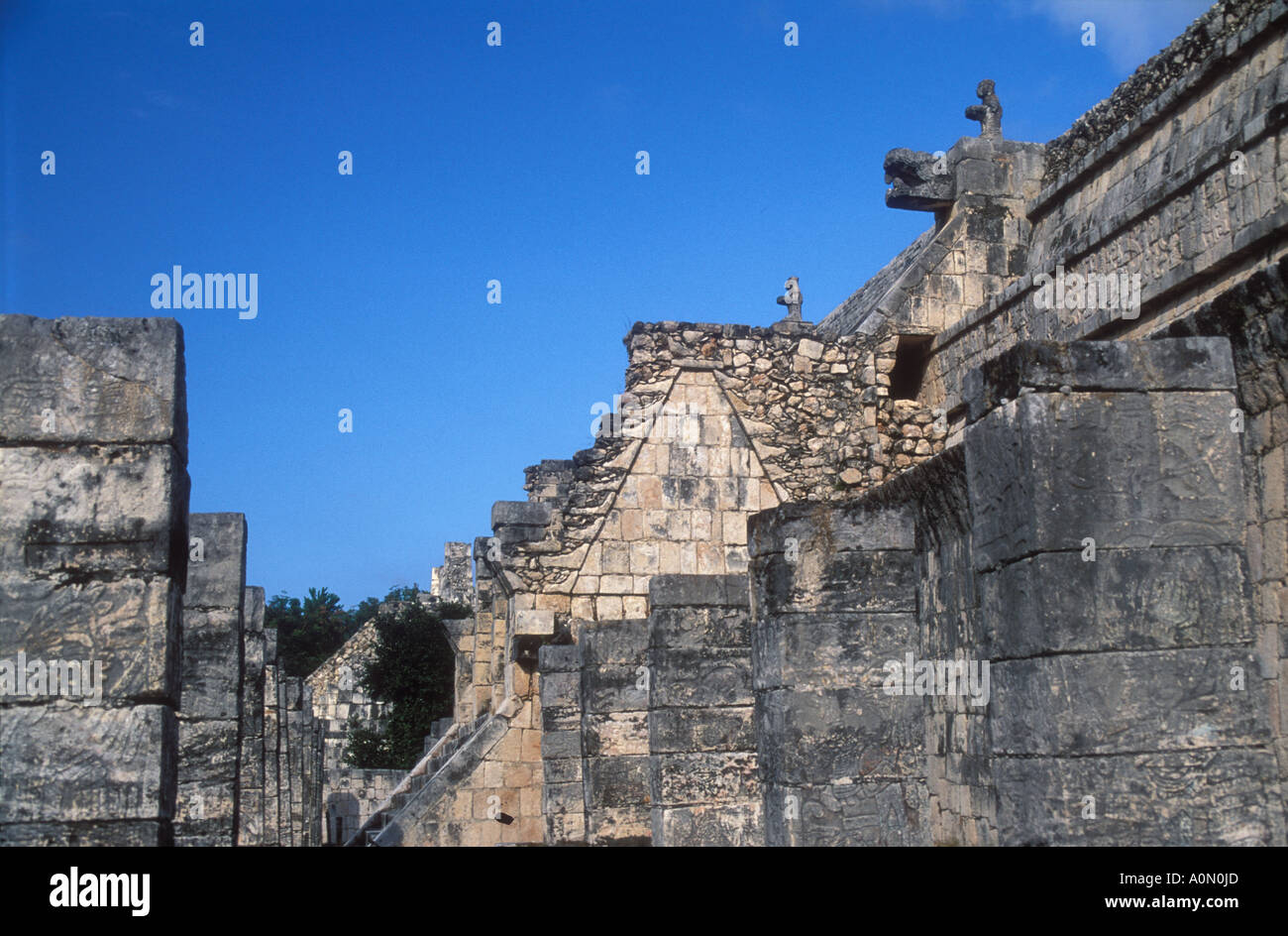 Sala delle colonne 1000 Las Columnas Mil Chichen Itza Maya sito hisotric Yucatan Messico Foto Stock